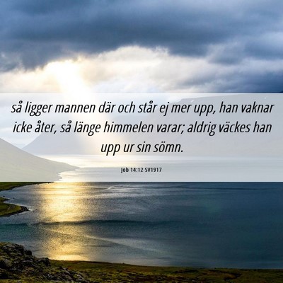 Picture 06 - Job 14:12 SV1917 - så ligger mannen där och står ej mer upp, han - Bible Verse Picture