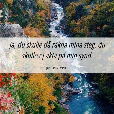 Picture 06 - Job 14:16 SV1917 - ja, du skulle då räkna mina steg, du skulle ej - Bible Verse Picture