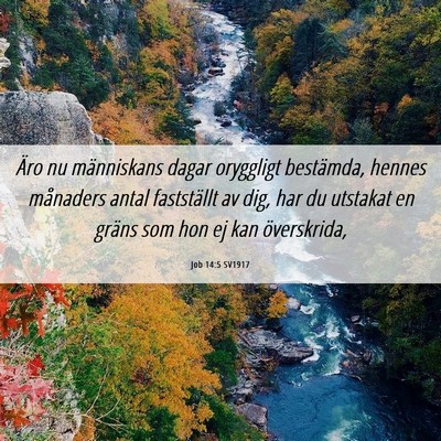 Picture 06 - Job 14:5 SV1917 - Äro nu människans dagar oryggligt bestämda, - Bible Verse Picture