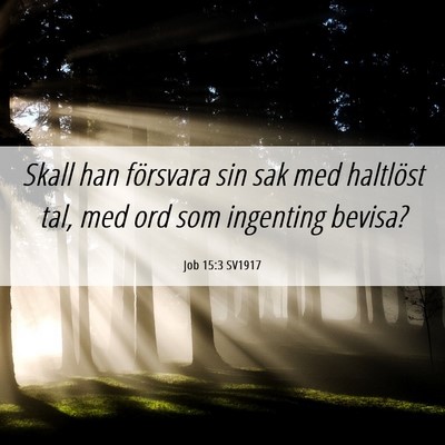 Picture 06 - Job 15:3 SV1917 - Skall han försvara sin sak med haltlöst tal, - Bible Verse Picture