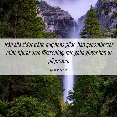 Picture 06 - Job 16:13 SV1917 - från alla sidor träffa mig hans pilar, han - Bible Verse Picture