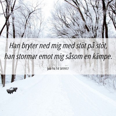Picture 06 - Job 16:14 SV1917 - Han bryter ned mig med stöt på stöt, han - Bible Verse Picture
