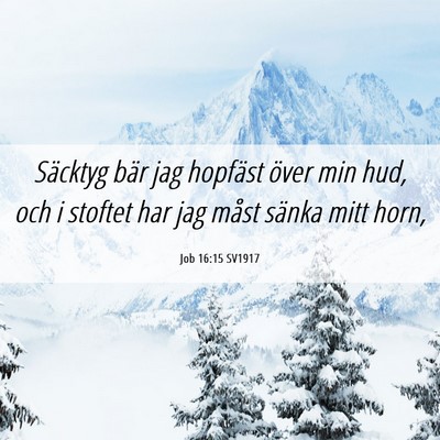 Picture 06 - Job 16:15 SV1917 - Säcktyg bär jag hopfäst över min hud, och i - Bible Verse Picture