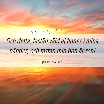 Picture 06 - Job 16:17 SV1917 - Och detta, fastän våld ej finnes i mina - Bible Verse Picture