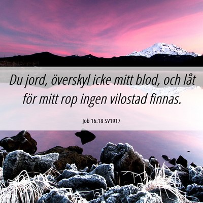 Picture 06 - Job 16:18 SV1917 - Du jord, överskyl icke mitt blod, och låt för - Bible Verse Picture