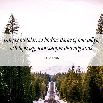 Picture 06 - Job 16:6 SV1917 - Om jag nu talar, så lindras därav ej min - Bible Verse Picture