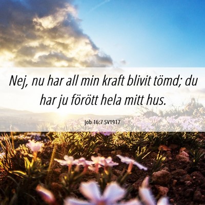 Picture 06 - Job 16:7 SV1917 - Nej, nu har all min kraft blivit tömd; du har ju - Bible Verse Picture