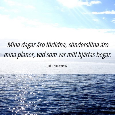 Picture 06 - Job 17:11 SV1917 - Mina dagar äro förlidna, sönderslitna äro - Bible Verse Picture
