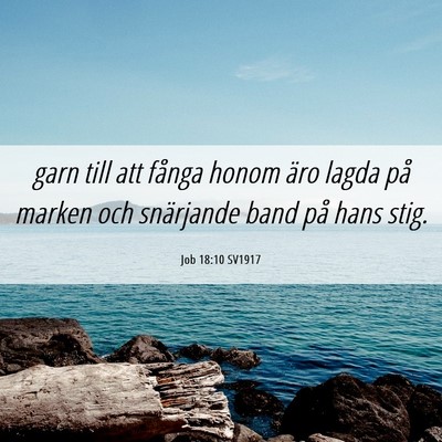 Picture 06 - Job 18:10 SV1917 - garn till att fånga honom äro lagda på marken - Bible Verse Picture