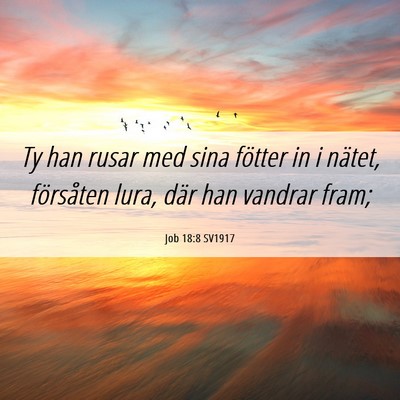 Picture 06 - Job 18:8 SV1917 - Ty han rusar med sina fötter in i nätet, - Bible Verse Picture