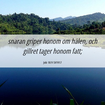 Picture 06 - Job 18:9 SV1917 - snaran griper honom om hälen, och gillret tager - Bible Verse Picture