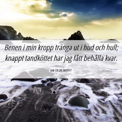 Picture 06 - Job 19:20 SV1917 - Benen i min kropp tränga ut i hud och hull; - Bible Verse Picture