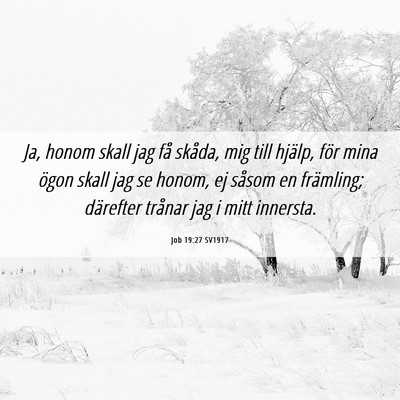 Picture 06 - Job 19:27 SV1917 - Ja, honom skall jag få skåda, mig till hjälp, - Bible Verse Picture