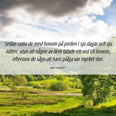 Picture 06 - Job 2:13 SV1917 - Sedan sutto de med honom på jorden i sju dagar - Bible Verse Picture