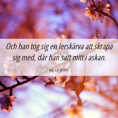 Picture 06 - Job 2:8 SV1917 - Och han tog sig en lerskärva att skrapa sig med, - Bible Verse Picture