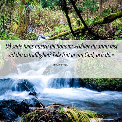 Picture 06 - Job 2:9 SV1917 - Då sade hans hustru till honom: »Håller du - Bible Verse Picture