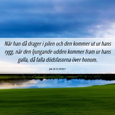Picture 06 - Job 20:25 SV1917 - När han då drager i pilen och den kommer ut ur - Bible Verse Picture