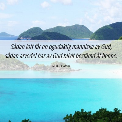 Picture 06 - Job 20:29 SV1917 - Sådan lott får en ogudaktig människa av Gud, - Bible Verse Picture