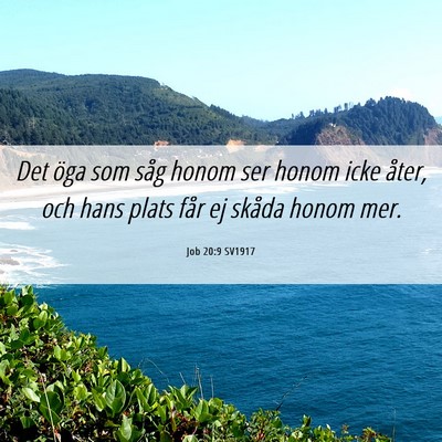 Picture 06 - Job 20:9 SV1917 - Det öga som såg honom ser honom icke åter, och - Bible Verse Picture