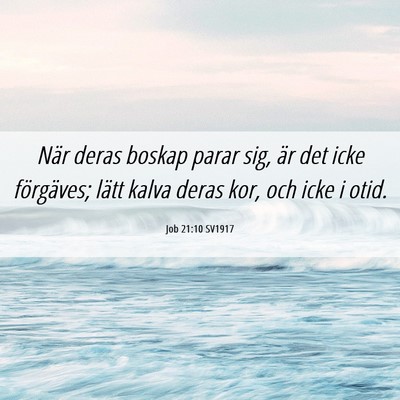 Picture 06 - Job 21:10 SV1917 - När deras boskap parar sig, är det icke - Bible Verse Picture