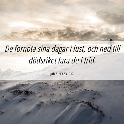 Picture 06 - Job 21:13 SV1917 - De förnöta sina dagar i lust, och ned till - Bible Verse Picture