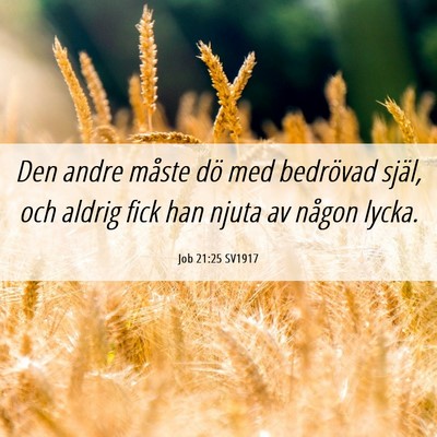 Picture 06 - Job 21:25 SV1917 - Den andre måste dö med bedrövad själ, och - Bible Verse Picture