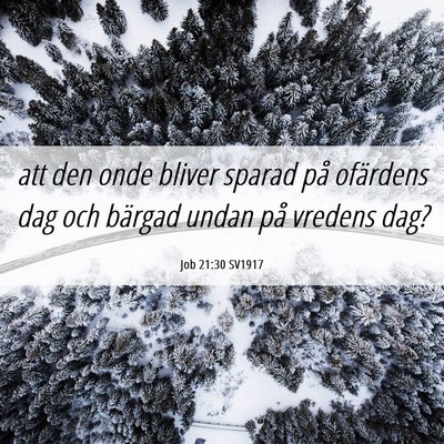 Picture 06 - Job 21:30 SV1917 - att den onde bliver sparad på ofärdens dag och - Bible Verse Picture