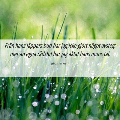 Picture 06 - Job 23:12 SV1917 - Från hans läppars bud har jag icke gjort något - Bible Verse Picture