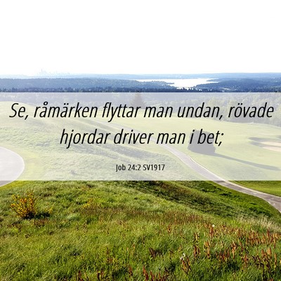 Picture 06 - Job 24:2 SV1917 - Se, råmärken flyttar man undan, rövade hjordar - Bible Verse Picture