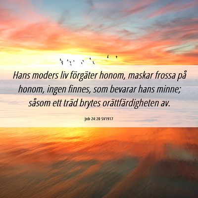 Picture 06 - Job 24:20 SV1917 - Hans moders liv förgäter honom, maskar frossa - Bible Verse Picture