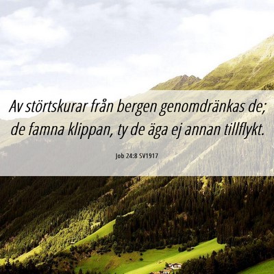 Picture 06 - Job 24:8 SV1917 - Av störtskurar från bergen genomdränkas de; de - Bible Verse Picture