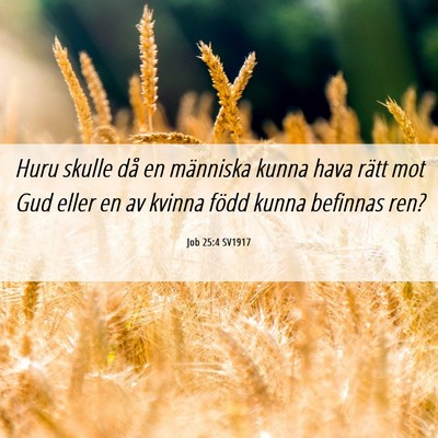 Picture 06 - Job 25:4 SV1917 - Huru skulle då en människa kunna hava rätt mot - Bible Verse Picture