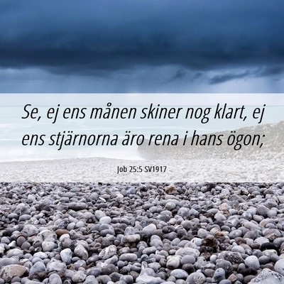 Picture 06 - Job 25:5 SV1917 - Se, ej ens månen skiner nog klart, ej ens - Bible Verse Picture