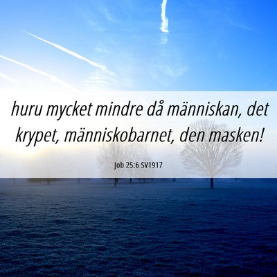 Picture 06 - Job 25:6 SV1917 - huru mycket mindre då människan, det krypet, - Bible Verse Picture