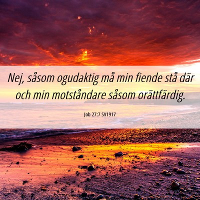 Picture 06 - Job 27:7 SV1917 - Nej, såsom ogudaktig må min fiende stå där - Bible Verse Picture