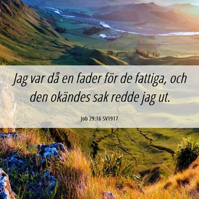 Picture 06 - Job 29:16 SV1917 - Jag var då en fader för de fattiga, och den - Bible Verse Picture