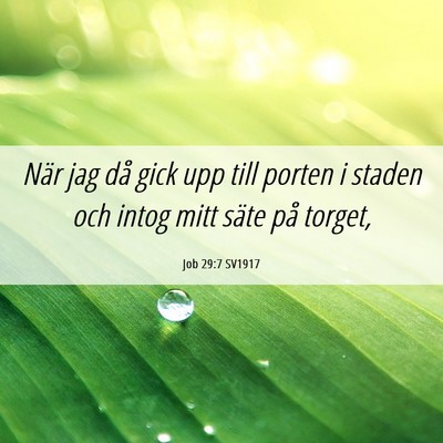 Picture 06 - Job 29:7 SV1917 - När jag då gick upp till porten i staden och - Bible Verse Picture