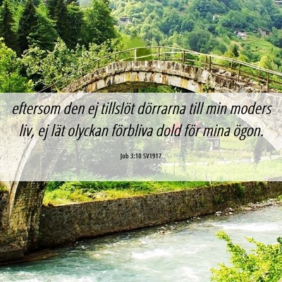 Picture 06 - Job 3:10 SV1917 - eftersom den ej tillslöt dörrarna till min - Bible Verse Picture