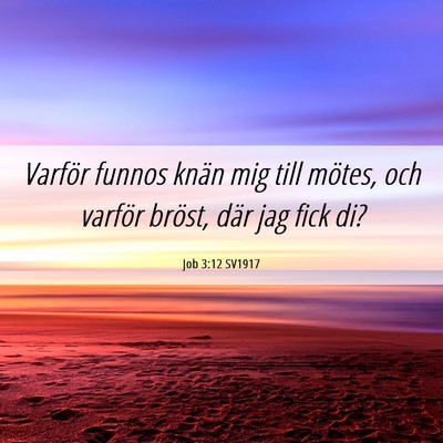 Picture 06 - Job 3:12 SV1917 - Varför funnos knän mig till mötes, och varför - Bible Verse Picture