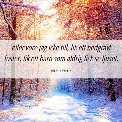 Picture 06 - Job 3:16 SV1917 - eller vore jag icke till, lik ett nedgrävt - Bible Verse Picture