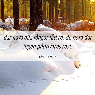 Picture 06 - Job 3:18 SV1917 - där hava alla fångar fått ro, de höra där - Bible Verse Picture
