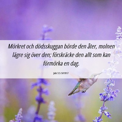 Picture 06 - Job 3:5 SV1917 - Mörkret och dödsskuggan börde den åter, - Bible Verse Picture