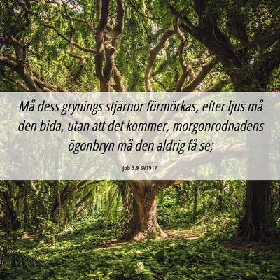 Picture 06 - Job 3:9 SV1917 - Må dess grynings stjärnor förmörkas, efter - Bible Verse Picture