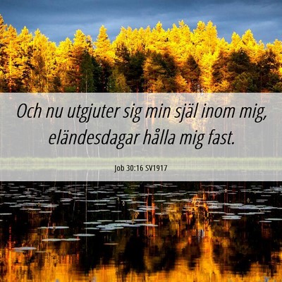 Picture 06 - Job 30:16 SV1917 - Och nu utgjuter sig min själ inom mig, - Bible Verse Picture