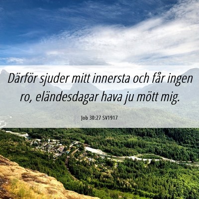 Picture 06 - Job 30:27 SV1917 - Därför sjuder mitt innersta och får ingen ro, - Bible Verse Picture