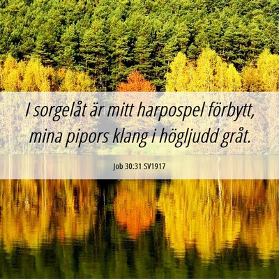 Picture 06 - Job 30:31 SV1917 - I sorgelåt är mitt harpospel förbytt, mina - Bible Verse Picture