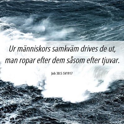 Picture 06 - Job 30:5 SV1917 - Ur människors samkväm drives de ut, man ropar - Bible Verse Picture