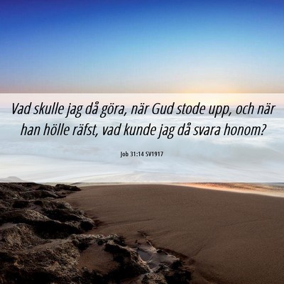 Picture 06 - Job 31:14 SV1917 - Vad skulle jag då göra, när Gud stode upp, och - Bible Verse Picture