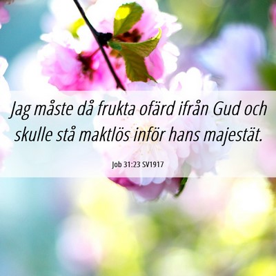 Picture 06 - Job 31:23 SV1917 - Jag måste då frukta ofärd ifrån Gud och - Bible Verse Picture
