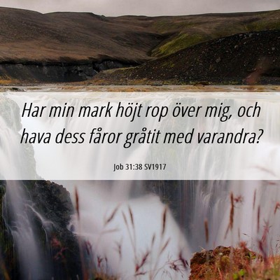 Picture 06 - Job 31:38 SV1917 - Har min mark höjt rop över mig, och hava dess - Bible Verse Picture